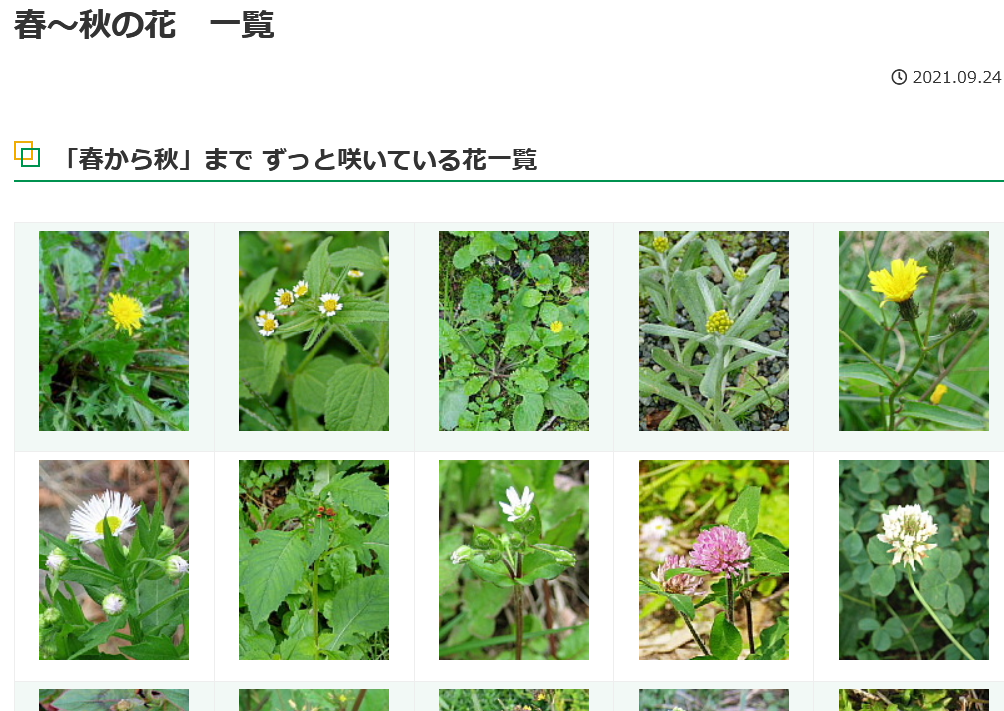 春 秋の花 一覧 ｖｇａ植物図鑑
