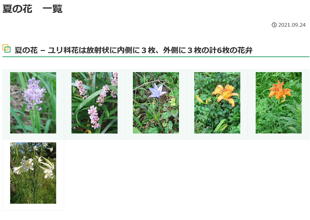 夏の花 一覧 ｖｇａ植物図鑑